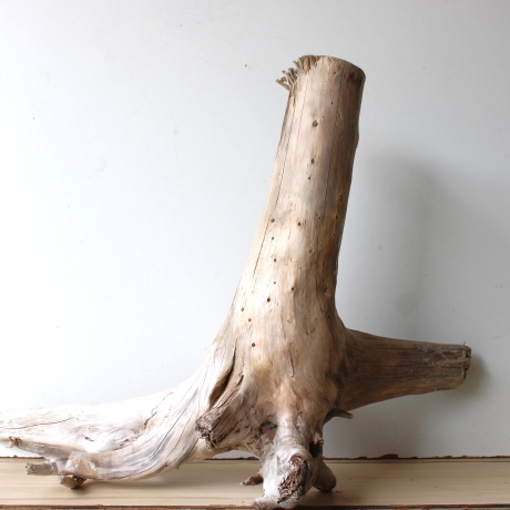 Treibholz Schwemmholz Driftwood 1 XXL Wurzel  Terrarium 56 cm 