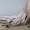Treibholz Schwemmholz Driftwood 1 XXL Wurzel  Terrarium 56 cm 