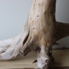 Treibholz Schwemmholz Driftwood 1 XXL Wurzel  Terrarium 56 cm 