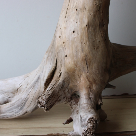 Treibholz Schwemmholz Driftwood 1 XXL Wurzel  Terrarium 56 cm 