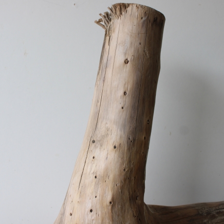 Treibholz Schwemmholz Driftwood 1 XXL Wurzel  Terrarium 56 cm 