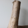 Treibholz Schwemmholz Driftwood 1 XXL Wurzel  Terrarium 56 cm 