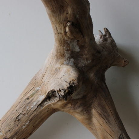 Treibholz Schwemmholz Driftwood 1 XXL Wurzel  Terrarium 56 cm 