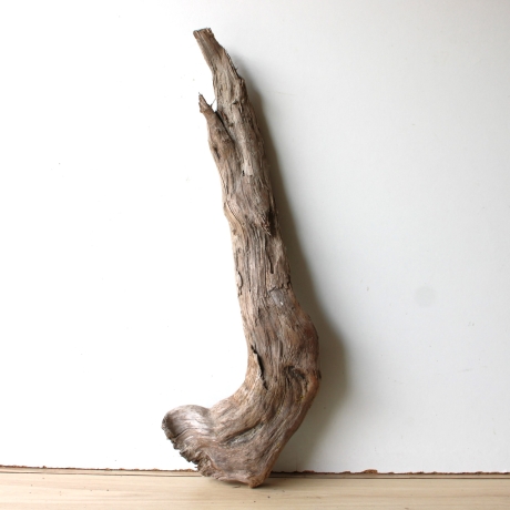 Treibholz Schwemmholz Driftwood 1 XL  Skulptur  71 cm 