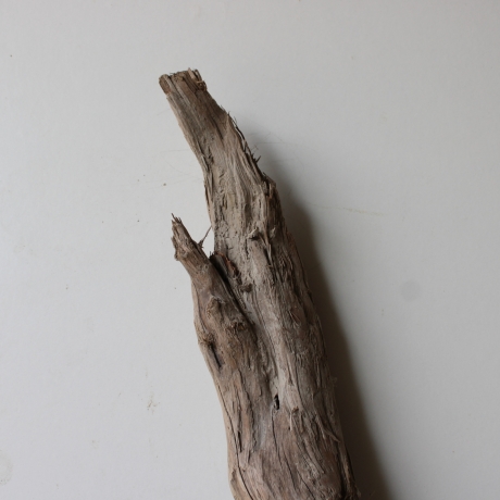 Treibholz Schwemmholz Driftwood 1 XL  Skulptur  71 cm 