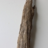 Treibholz Schwemmholz Driftwood 1 XL  Skulptur  71 cm 