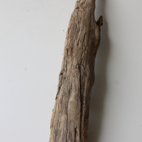 Treibholz Schwemmholz Driftwood 1 XL  Skulptur  71 cm 