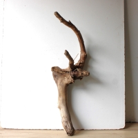 Treibholz Schwemmholz Driftwood 1 XXL Wurzel  Terrarium 91 cm 
