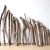 Treibholz Schwemmholz Driftwood 18 Äste  14 - 47 cm  **E10** 