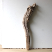 Treibholz Schwemmholz Driftwood 1 XL  Skulptur  81 cm 