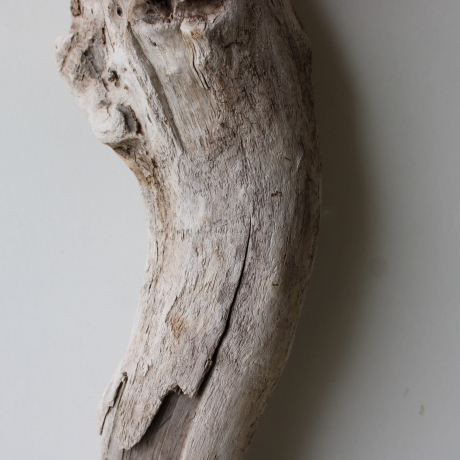Treibholz Schwemmholz Driftwood 1 XL  Skulptur  81 cm 