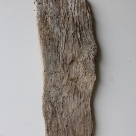 Treibholz Schwemmholz Driftwood  1  Brett Regal  45,5 cm  