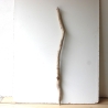 Treibholz Schwemmholz Driftwood 1  XL Ast  Garderobe 112 cm 