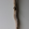 Treibholz Schwemmholz Driftwood 1  XL Ast  Garderobe 112 cm 