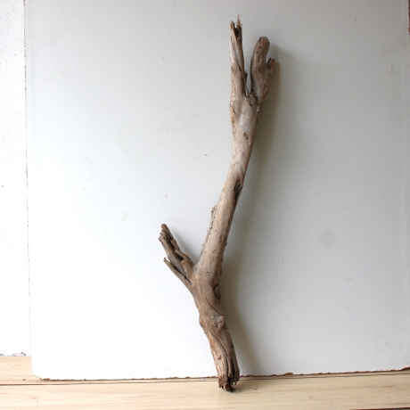 Treibholz Schwemmholz Driftwood 1 XL Wurzel  Terrarium 90 cm 