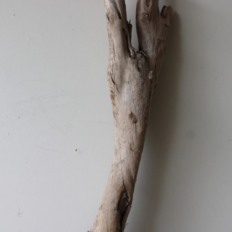 Treibholz Schwemmholz Driftwood 1 XL Wurzel  Terrarium 90 cm 