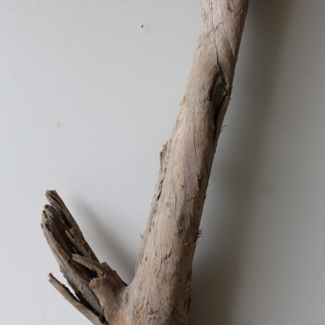 Treibholz Schwemmholz Driftwood 1 XL Wurzel  Terrarium 90 cm 