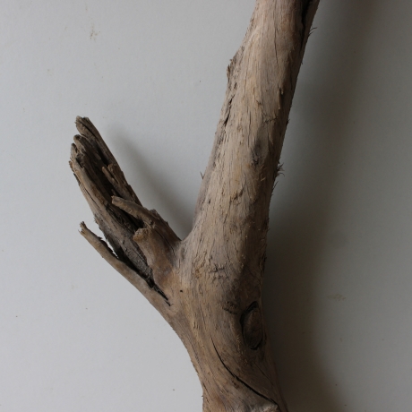 Treibholz Schwemmholz Driftwood 1 XL Wurzel  Terrarium 90 cm 