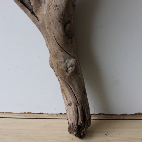 Treibholz Schwemmholz Driftwood 1 XL Wurzel  Terrarium 90 cm 