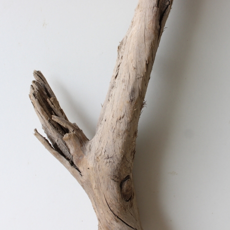 Treibholz Schwemmholz Driftwood 1 XL Wurzel  Terrarium 90 cm 