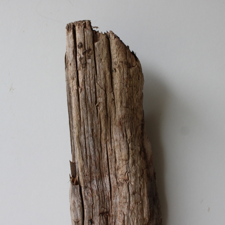 Treibholz Schwemmholz Driftwood 1  Skulptur  56 cm 