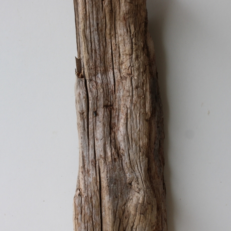 Treibholz Schwemmholz Driftwood 1  Skulptur  56 cm 
