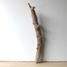 Treibholz Schwemmholz Driftwood 1 XL  Skulptur  72 cm 