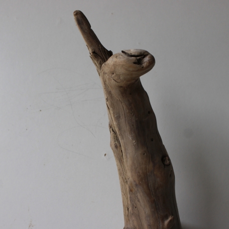 Treibholz Schwemmholz Driftwood 1 XL  Skulptur  72 cm 