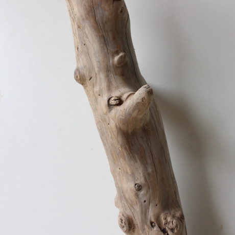 Treibholz Schwemmholz Driftwood 1 XL  Skulptur  72 cm 