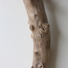 Treibholz Schwemmholz Driftwood 1 XL  Skulptur  72 cm 