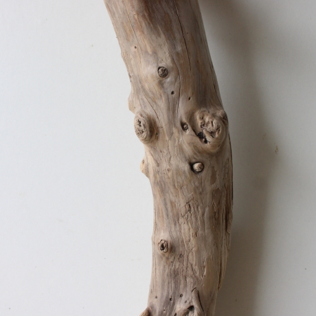 Treibholz Schwemmholz Driftwood 1 XL  Skulptur  72 cm 