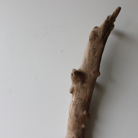 Treibholz Schwemmholz Driftwood 1 XL  Skulptur  72 cm 
