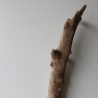 Treibholz Schwemmholz Driftwood 1 XL  Skulptur  72 cm 