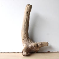 Treibholz Schwemmholz Driftwood 1  Wurzel  Terrarium 40 cm 