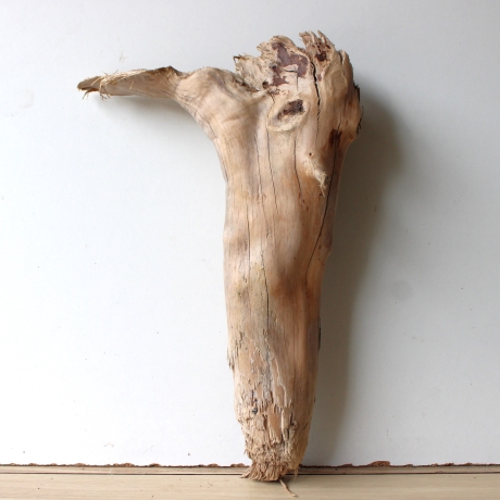 Treibholz Schwemmholz Driftwood 1 knorrige  Skulptur  48 cm 