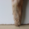 Treibholz Schwemmholz Driftwood 1 knorrige  Skulptur  48 cm 