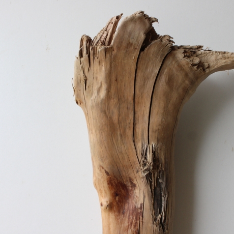 Treibholz Schwemmholz Driftwood 1 knorrige  Skulptur  48 cm 