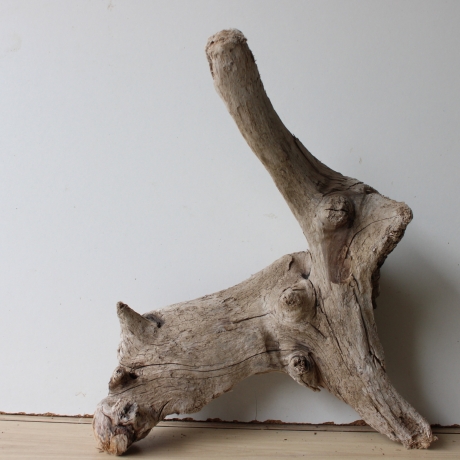 Treibholz Schwemmholz Driftwood 1  Wurzel  Terrarium 33 cm hoch
