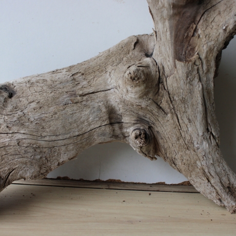 Treibholz Schwemmholz Driftwood 1  Wurzel  Terrarium 33 cm hoch