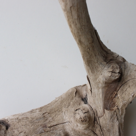 Treibholz Schwemmholz Driftwood 1  Wurzel  Terrarium 33 cm hoch
