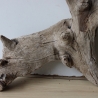Treibholz Schwemmholz Driftwood 1  Wurzel  Terrarium 33 cm hoch