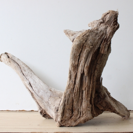 Treibholz Schwemmholz Driftwood 1  Wurzel  Terrarium 33 cm hoch