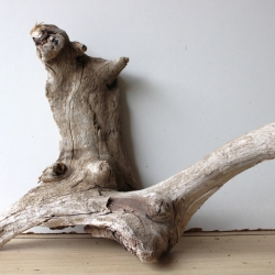 Treibholz Schwemmholz Driftwood 1  Wurzel  Terrarium 33 cm hoch