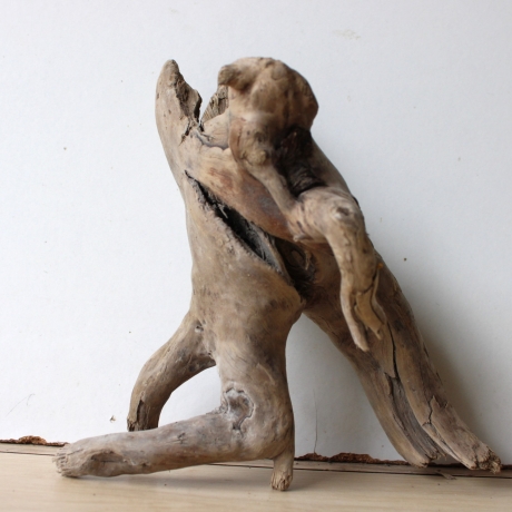 Treibholz Schwemmholz Driftwood 1  Wurzel  Terrarium 19 cm hoch