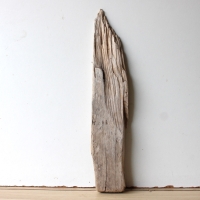 Treibholz Schwemmholz Driftwood  1  Brett Regal  50 cm  