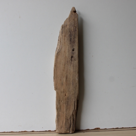 Treibholz Schwemmholz Driftwood  1  Brett Regal  50 cm  