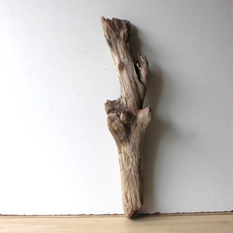 Treibholz Schwemmholz Driftwood 1 XL Stamm  Terrarium 77 cm 
