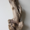 Treibholz Schwemmholz Driftwood 1 XL Stamm  Terrarium 77 cm 