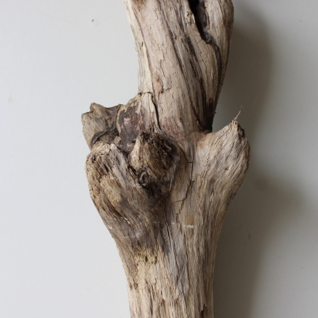 Treibholz Schwemmholz Driftwood 1 XL Stamm  Terrarium 77 cm 