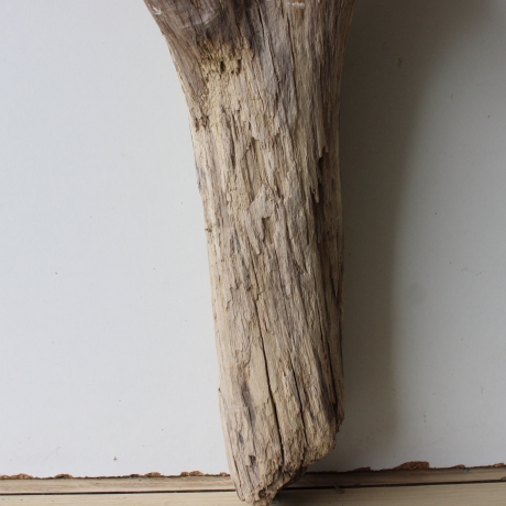 Treibholz Schwemmholz Driftwood 1 XL Stamm  Terrarium 77 cm 
